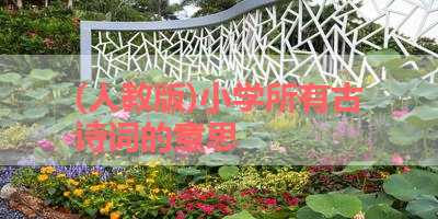 (人教版)小学所有古诗词的意思 